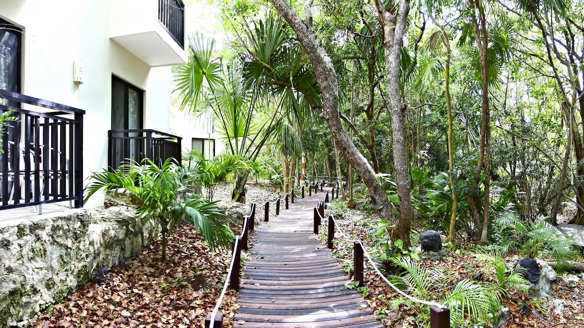 Sandos Caracol Eco Resort All Inclusive (Adults Only) Playa del Carmen 5*,