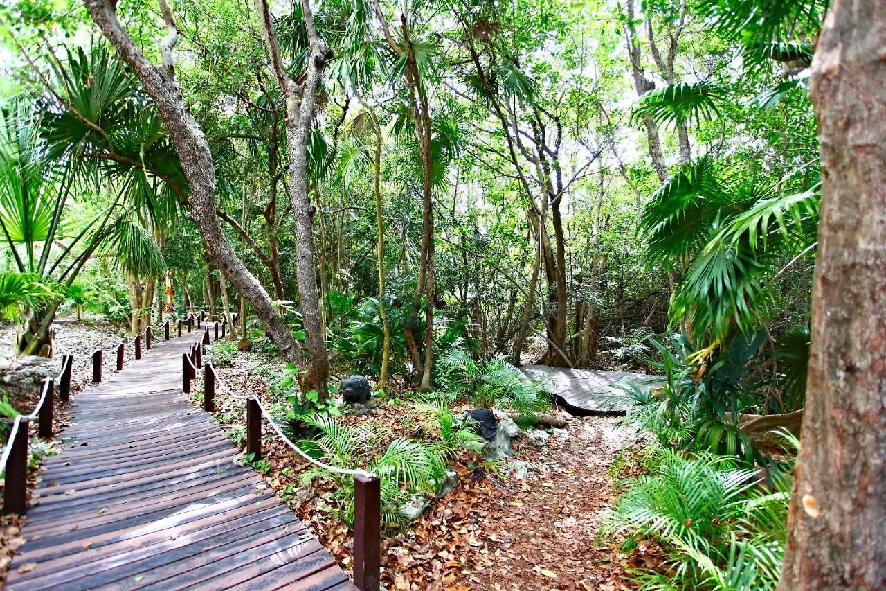 Sandos Caracol Eco Resort All Inclusive (Adults Only) Playa del Carmen