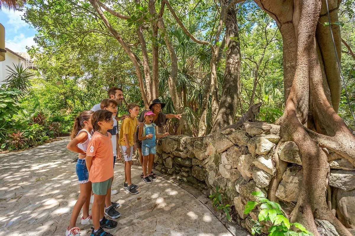 *****  Sandos Caracol Eco Resort All Inclusive (Adults Only) Playa del Carmen Mexico